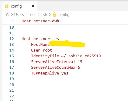 Файл ~/.ssh/config в VSCode с прописанным Host, HostName, User и IdentityFile